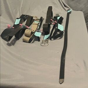 Assorted Black and Tan Belts Collection